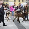 Velikonoční jarmark - 1. - 2. 4. 2026